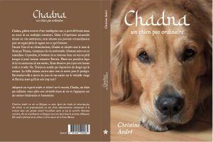 Acheter le livre de Christine André sur Amazon